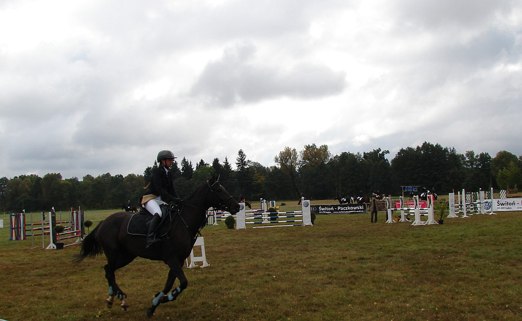 Międzynarodowe Zawody - Wszechstronny Konkurs Konia Wierzchowego