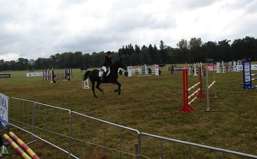 Międzynarodowe Zawody - Wszechstronny Konkurs Konia Wierzchowego