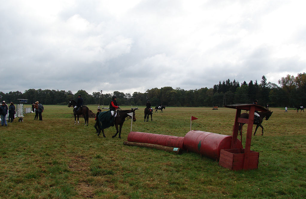Międzynarodowe Zawody - Wszechstronny Konkurs Konia Wierzchowego