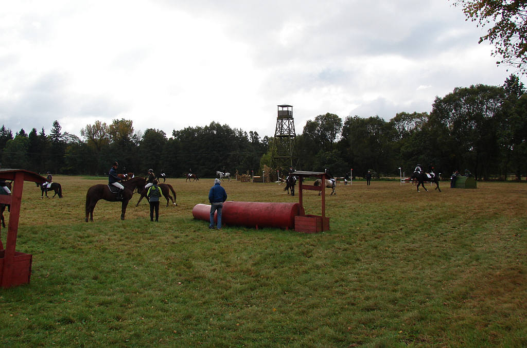 Międzynarodowe Zawody - Wszechstronny Konkurs Konia Wierzchowego