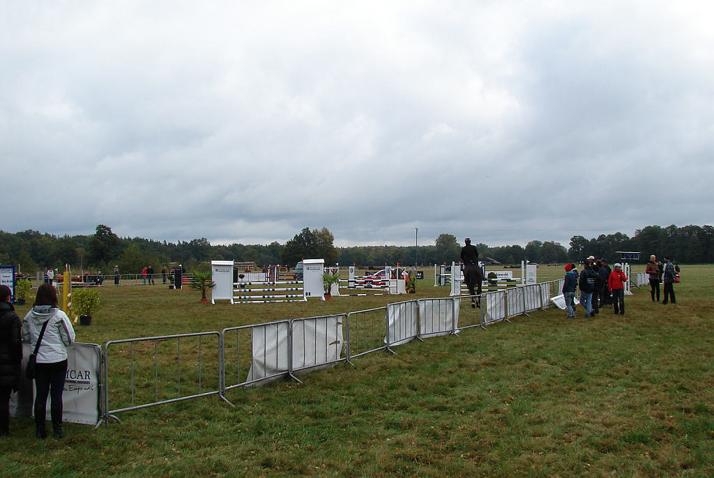 Międzynarodowe Zawody - Wszechstronny Konkurs Konia Wierzchowego