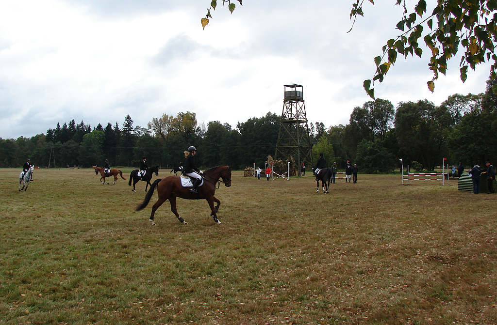 Międzynarodowe Zawody - Wszechstronny Konkurs Konia Wierzchowego