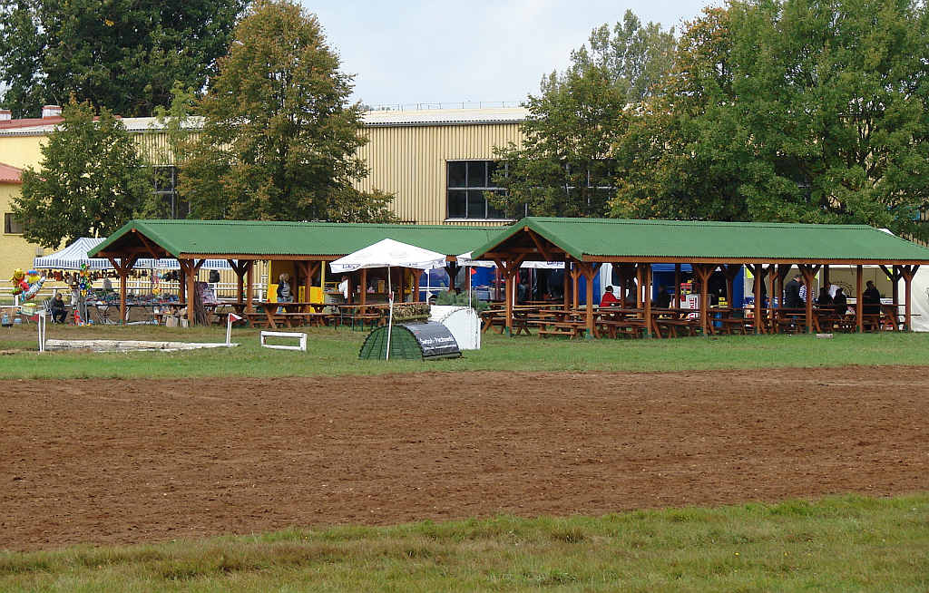 Międzynarodowe Zawody - Wszechstronny Konkurs Konia Wierzchowego