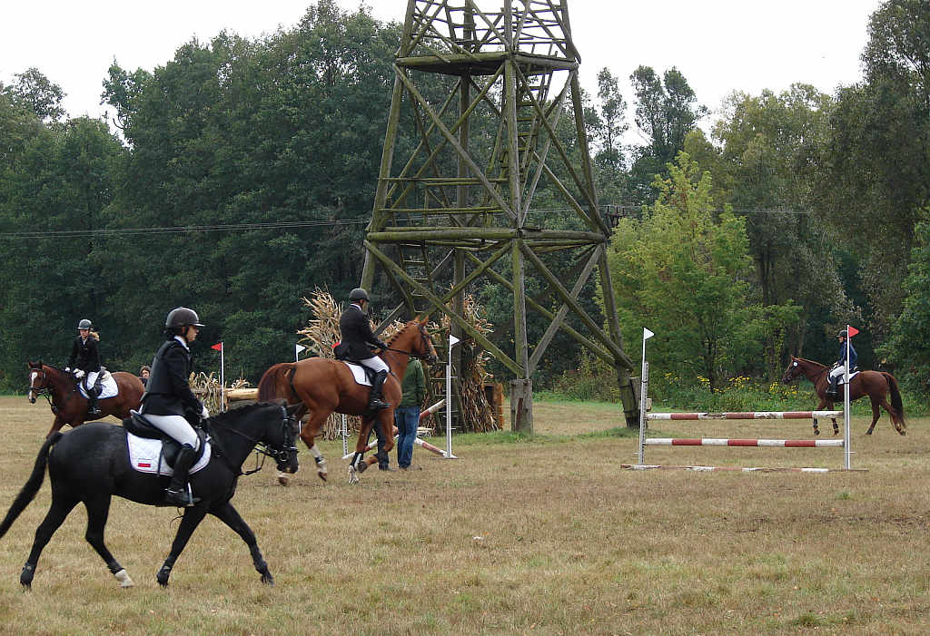 Międzynarodowe Zawody - Wszechstronny Konkurs Konia Wierzchowego