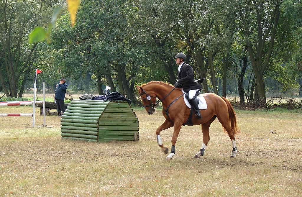 Międzynarodowe Zawody - Wszechstronny Konkurs Konia Wierzchowego