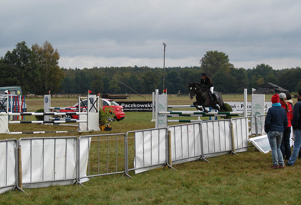 Międzynarodowe Zawody - Wszechstronny Konkurs Konia Wierzchowego