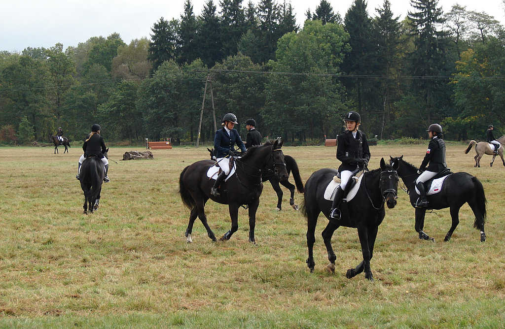 Międzynarodowe Zawody - Wszechstronny Konkurs Konia Wierzchowego