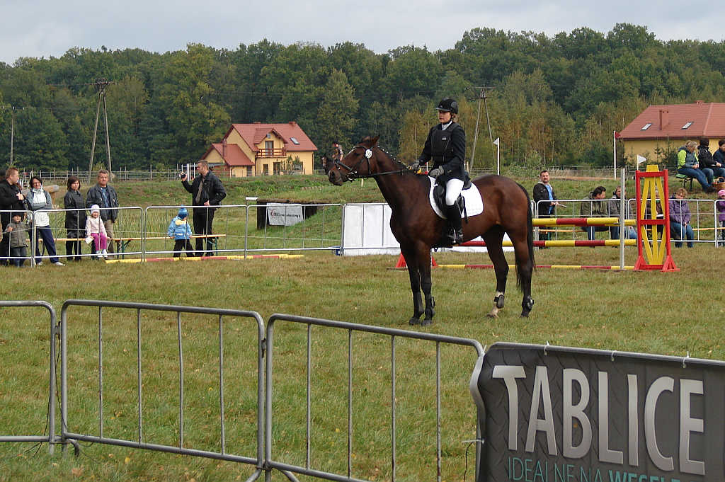 Międzynarodowe Zawody - Wszechstronny Konkurs Konia Wierzchowego