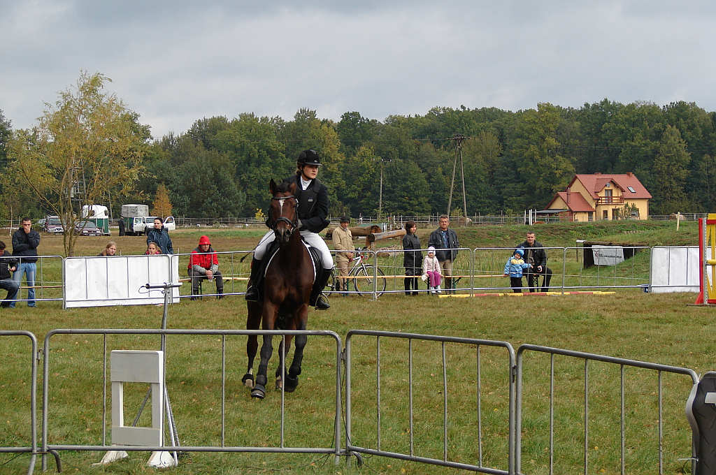 Międzynarodowe Zawody - Wszechstronny Konkurs Konia Wierzchowego