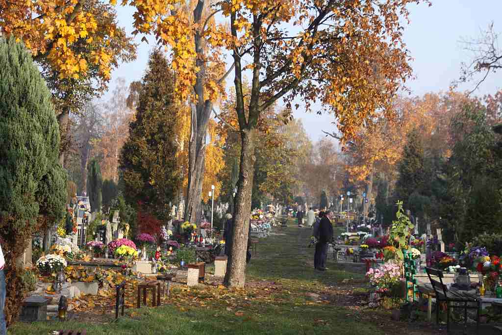 Wszystkich Świętych w Legnicy cz1