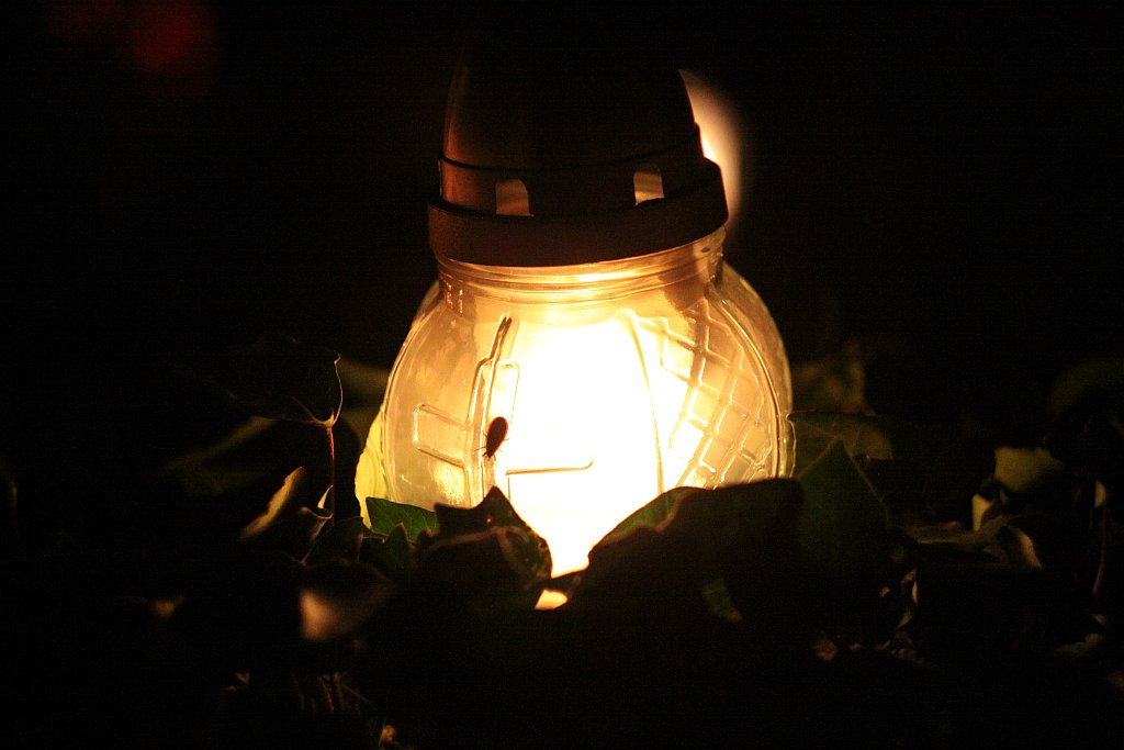 Wszystkich Świętych w Legnicy cz4 - nocą