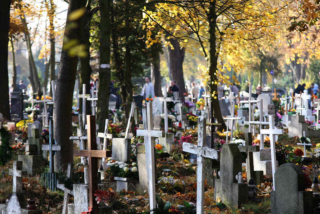 Wszystkich Świętych w Legnicy cz.2