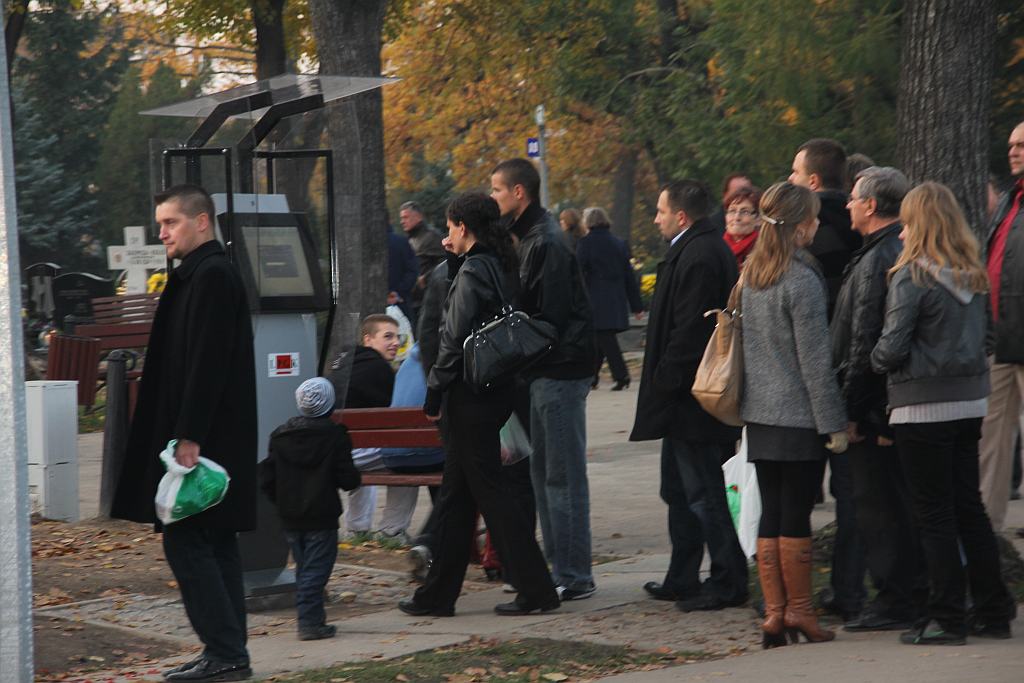 Wszystkich Świętych w Legnicy cz.3