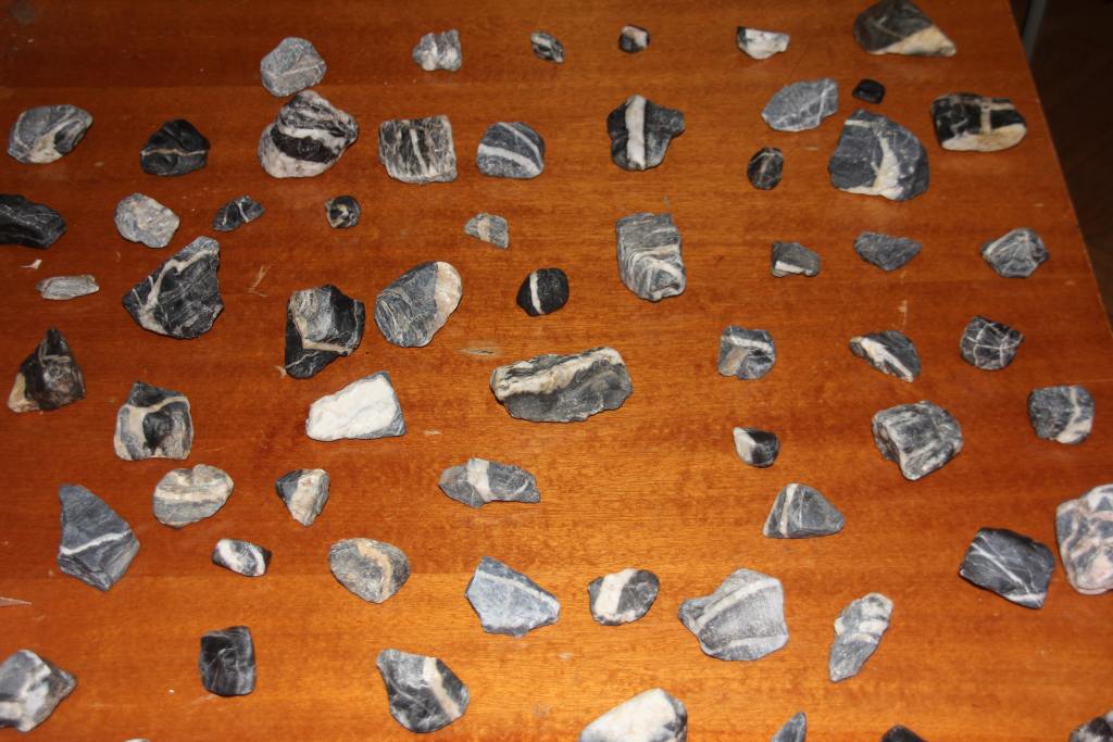 Przegląd Młodych Kolekcjonerów