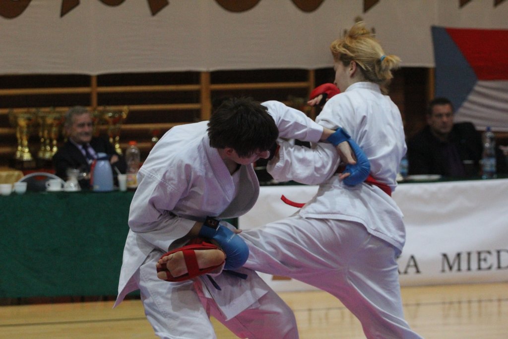 European Cup Karate