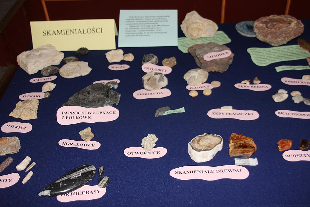 Przegląd Młodych Kolekcjonerów