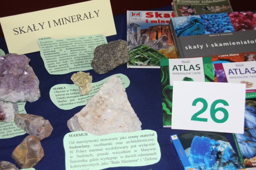 Przegląd Młodych Kolekcjonerów