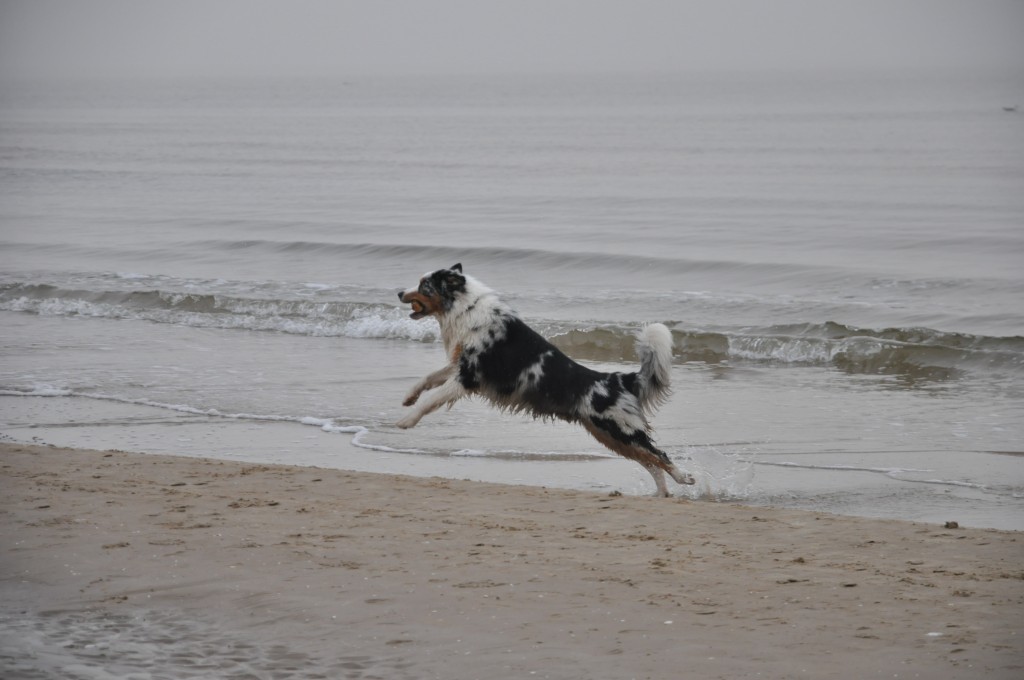 Pocztówka ze Świnoujścia