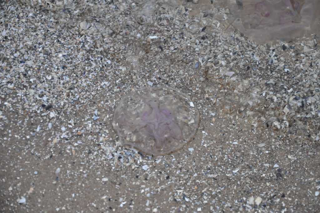 Pocztówka ze Świnoujścia