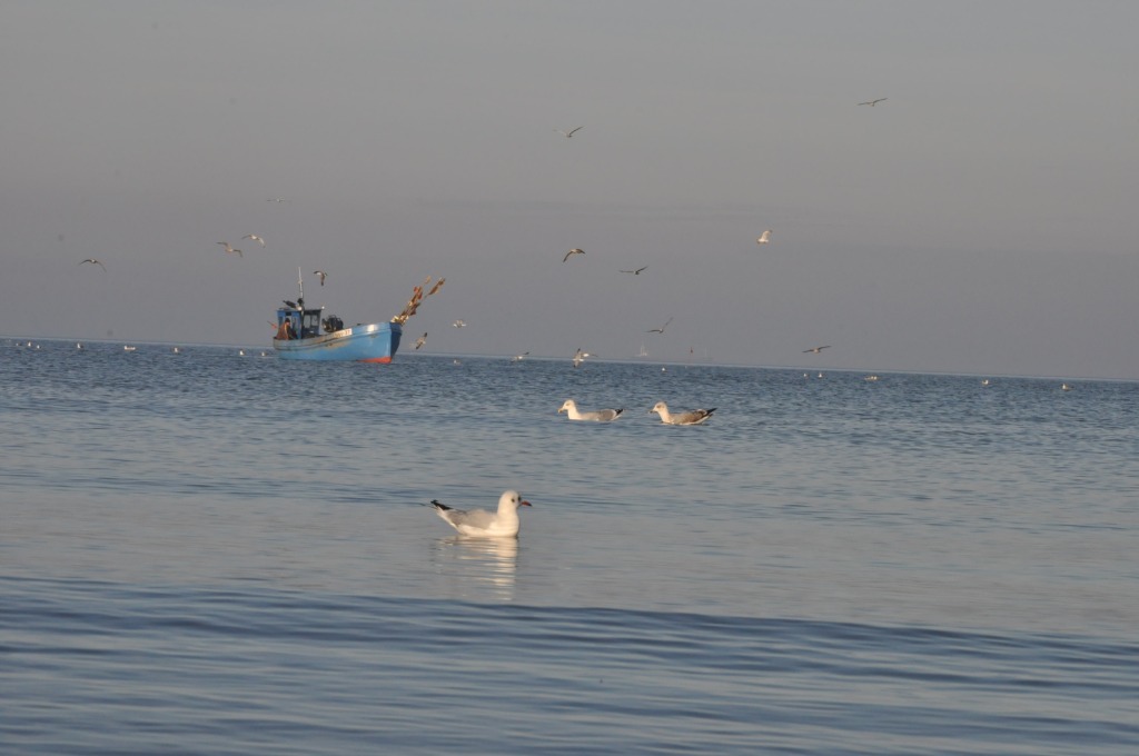 Pocztówka ze Świnoujścia cz.2
