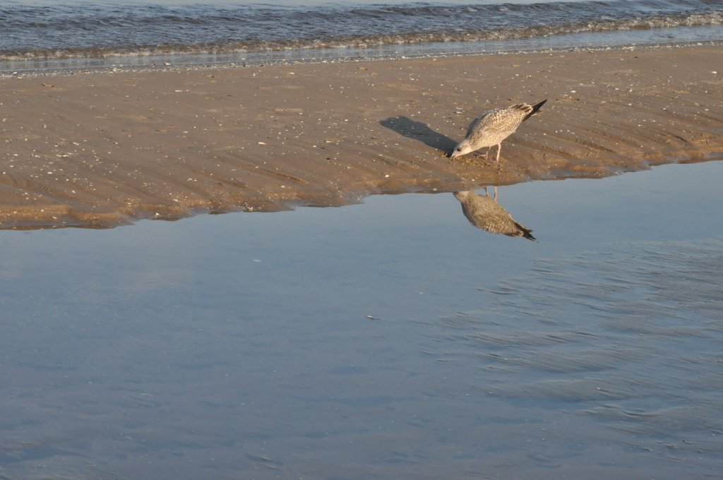 Pocztówka ze Świnoujścia cz.2