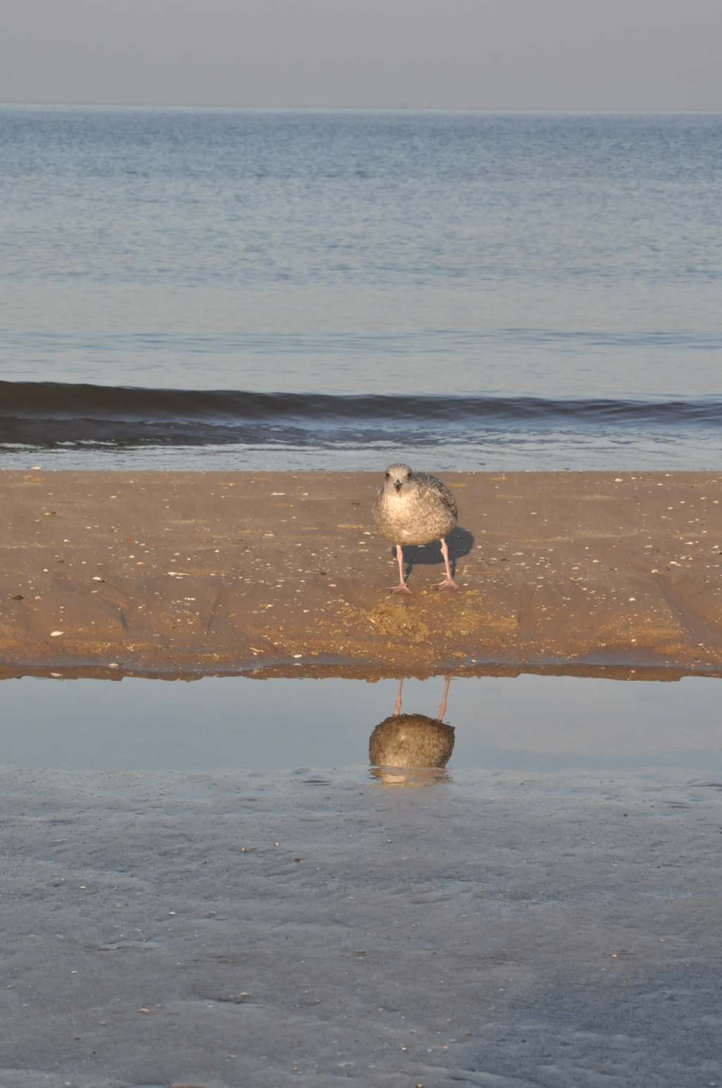 Pocztówka ze Świnoujścia cz.2