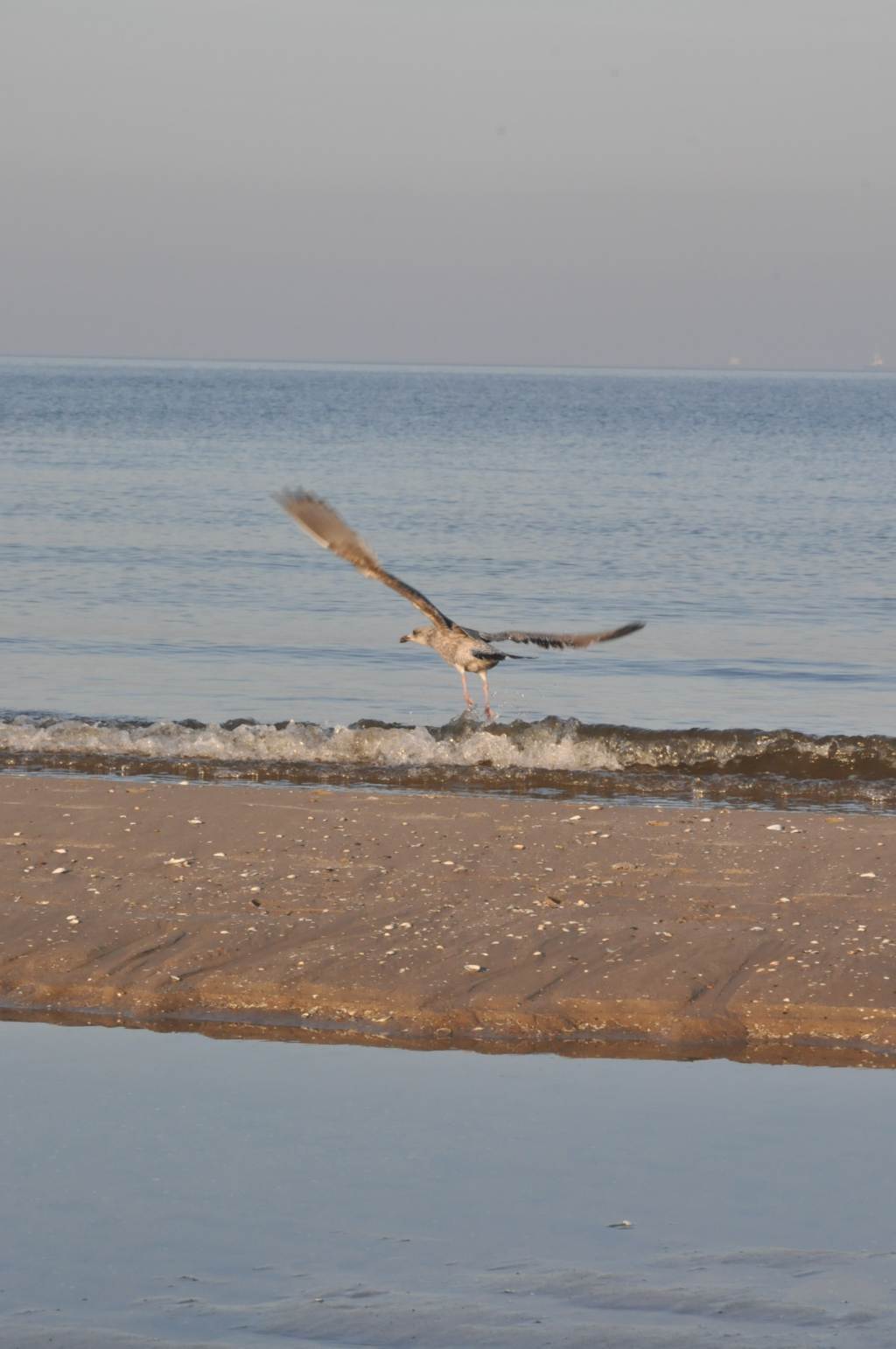 Pocztówka ze Świnoujścia cz.2