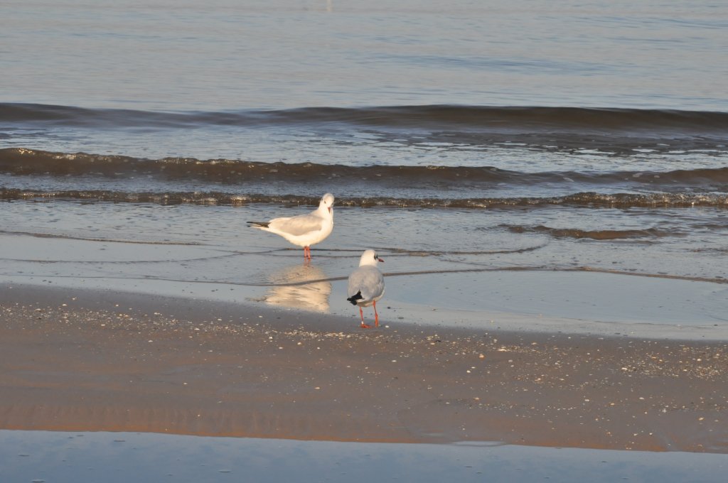 Pocztówka ze Świnoujścia cz.2