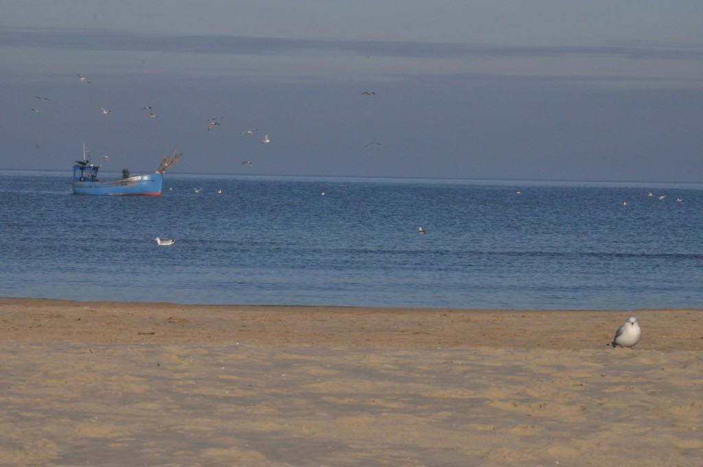 Pocztówka ze Świnoujścia cz.2