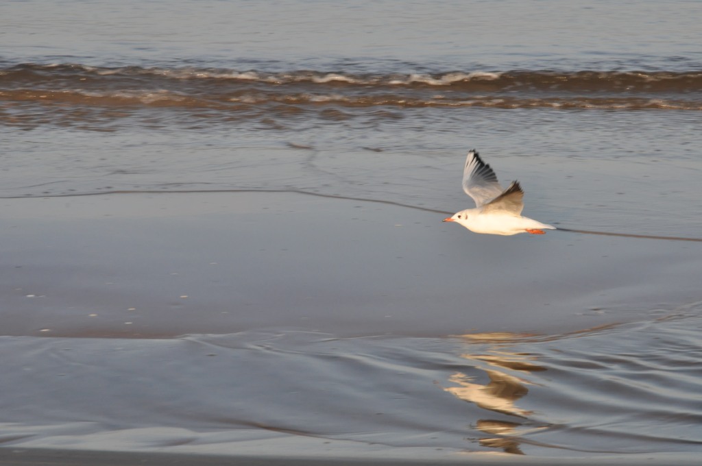 Pocztówka ze Świnoujścia cz.2