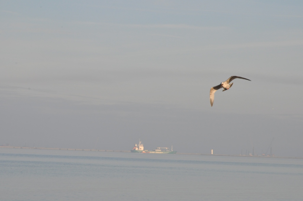 Pocztówka ze Świnoujścia cz.2