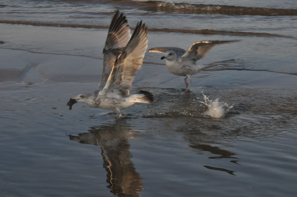 Pocztówka ze Świnoujścia cz.2