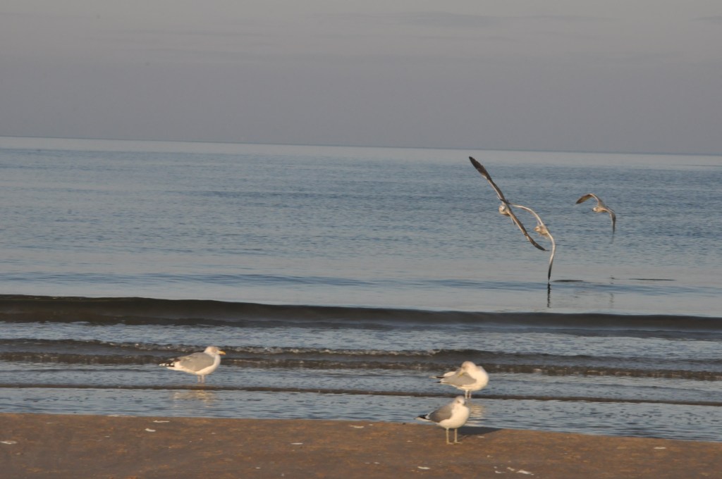 Pocztówka ze Świnoujścia cz.2
