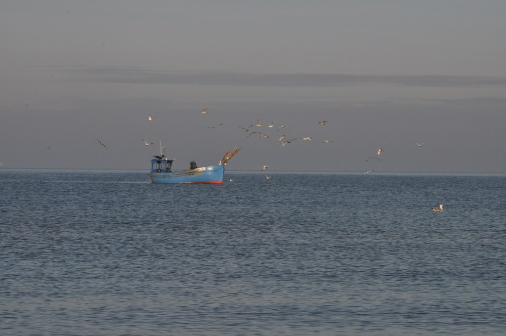 Pocztówka ze Świnoujścia cz.2