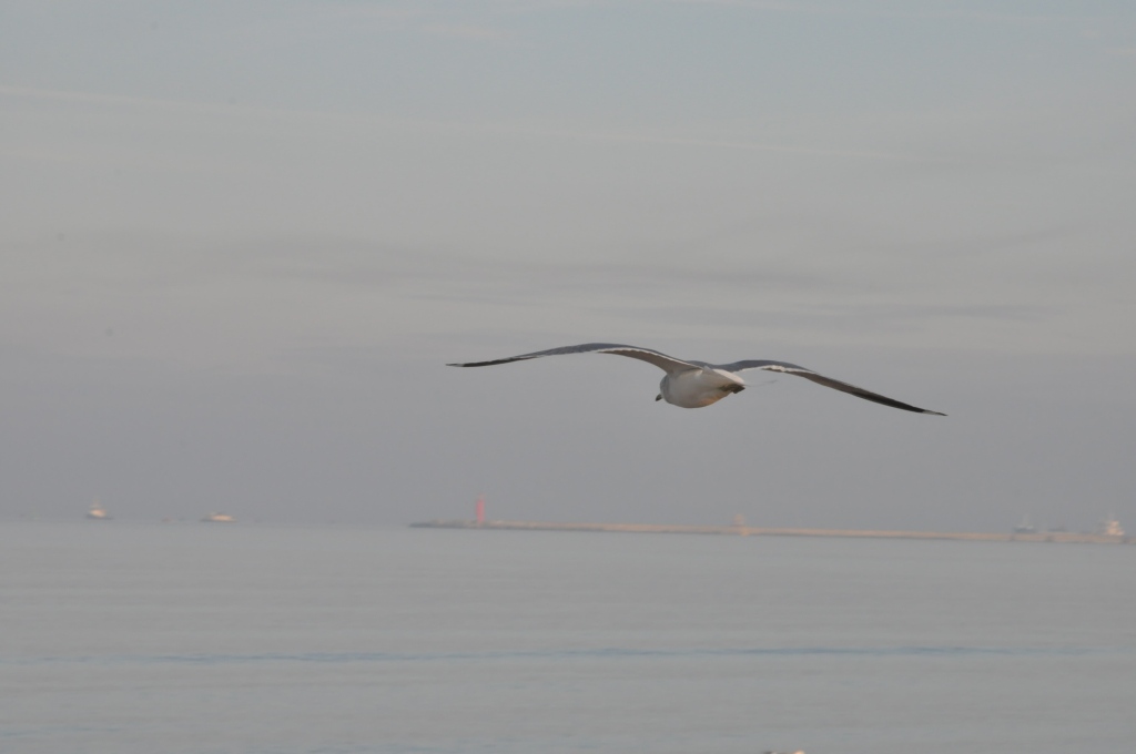 Pocztówka ze Świnoujścia cz.2