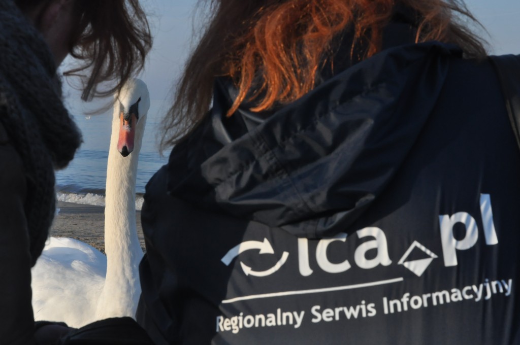 Pocztówka ze Świnoujścia cz.2