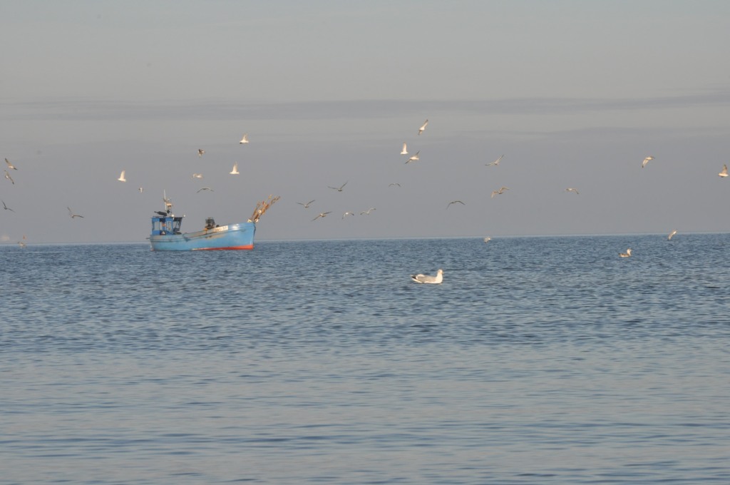 Pocztówka ze Świnoujścia cz.2