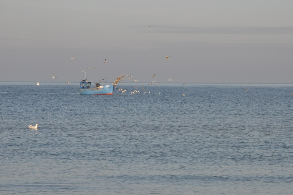 Pocztówka ze Świnoujścia cz.2