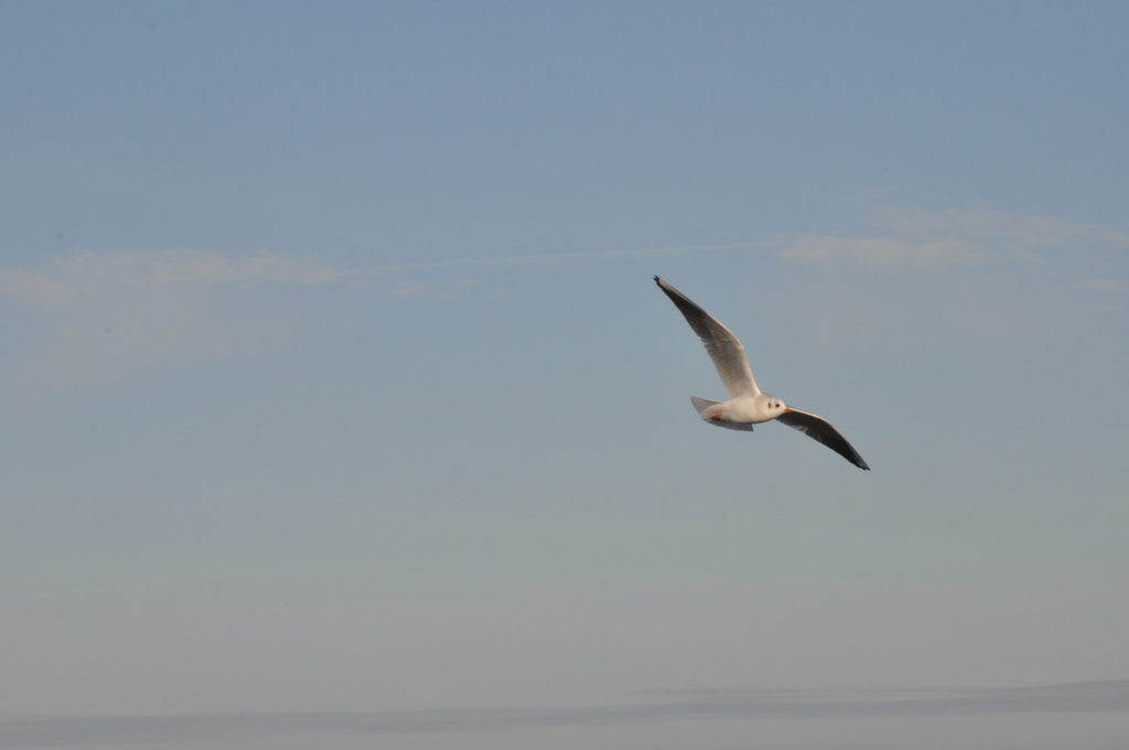 Pocztówka ze Świnoujścia cz.2