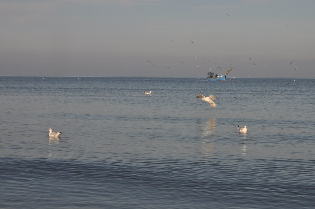 Pocztówka ze Świnoujścia cz.2