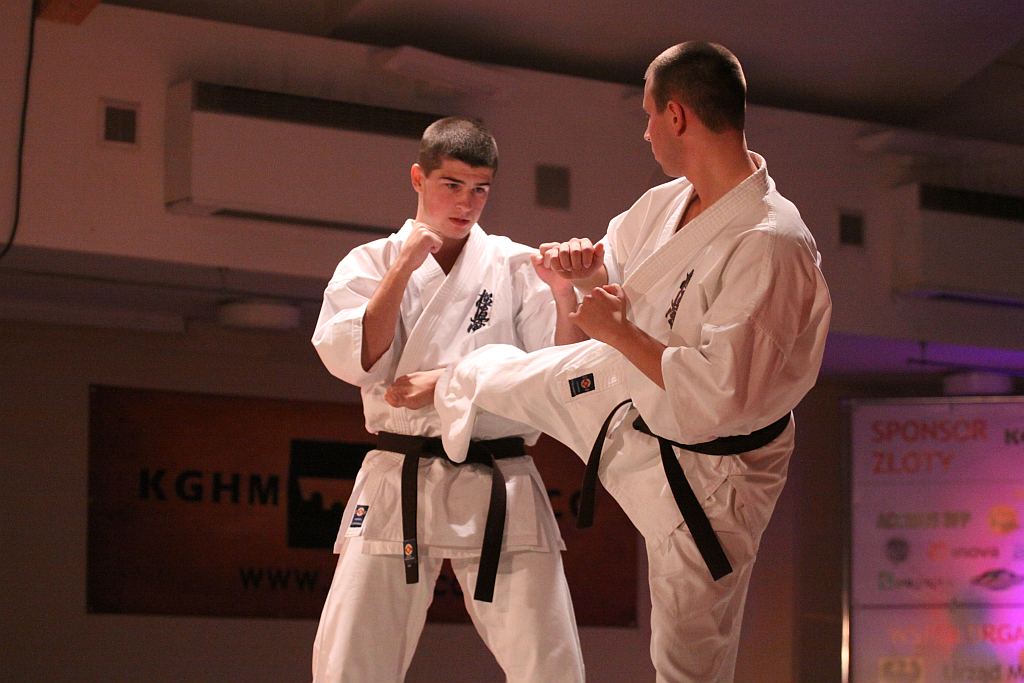 Mistrzostwa Polski Karate Kyokushin