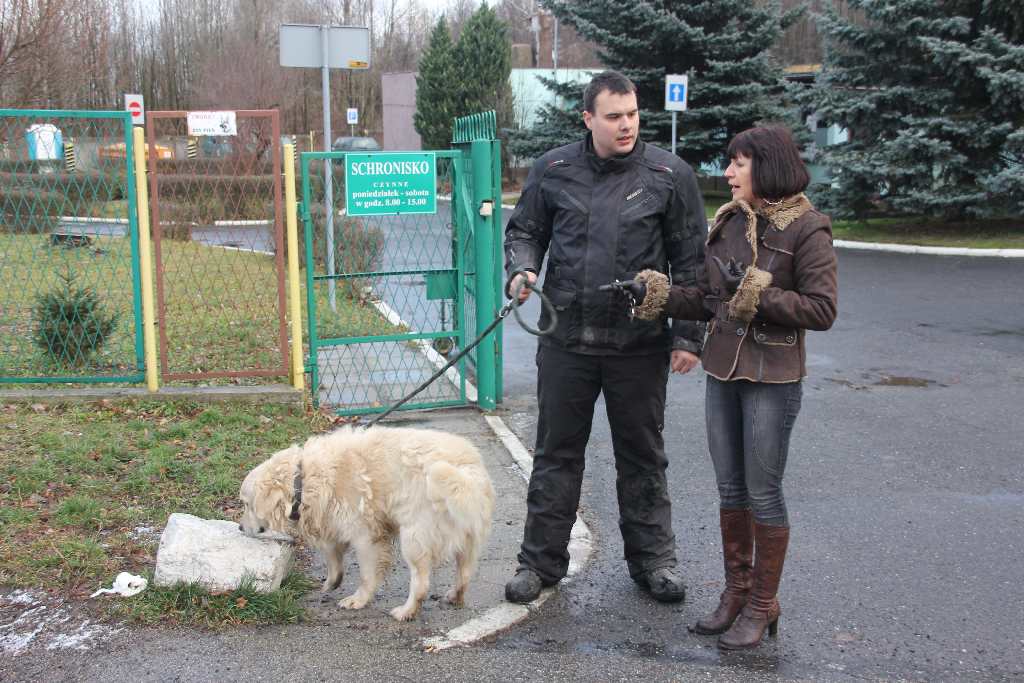 Quadowcy przywieźli psom świąteczne prezenty