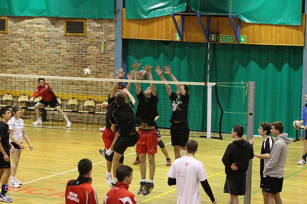 MAKUTRA 2011