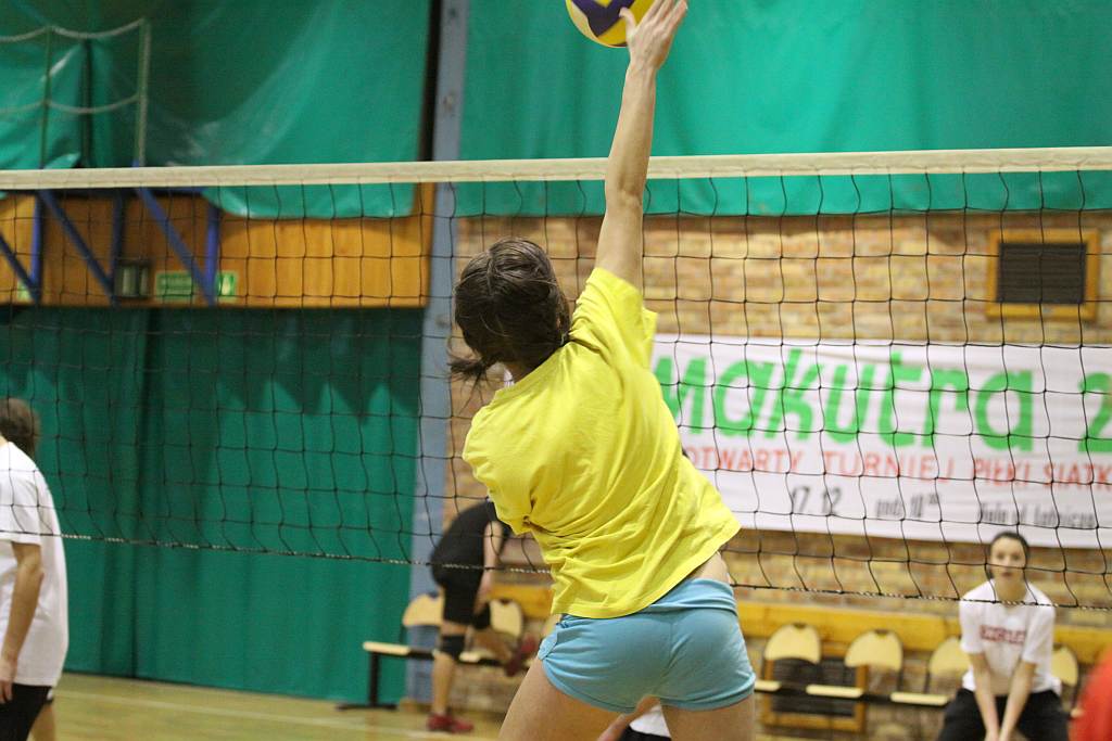 MAKUTRA 2011