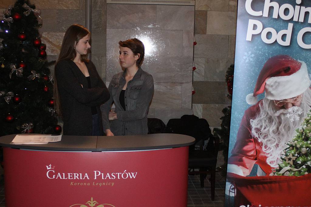 Choinka pod choinkę w Galerii Piastów