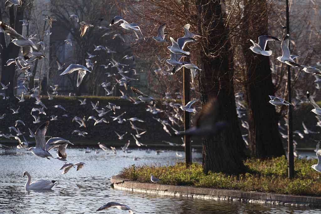 Przedpołudnie nad Wenecją