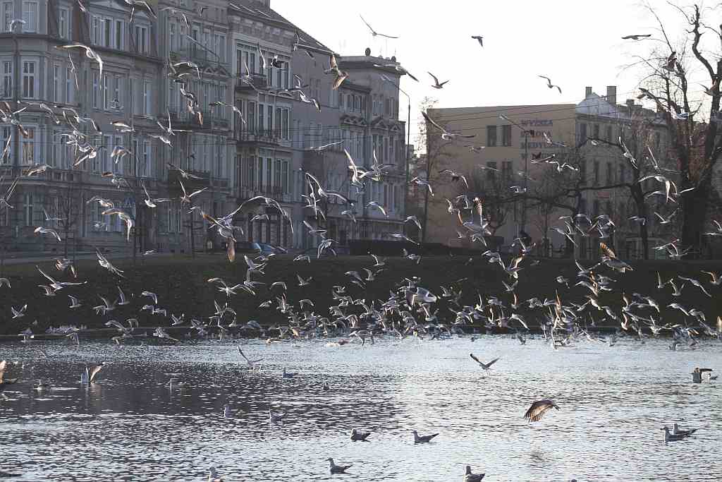Przedpołudnie nad Wenecją