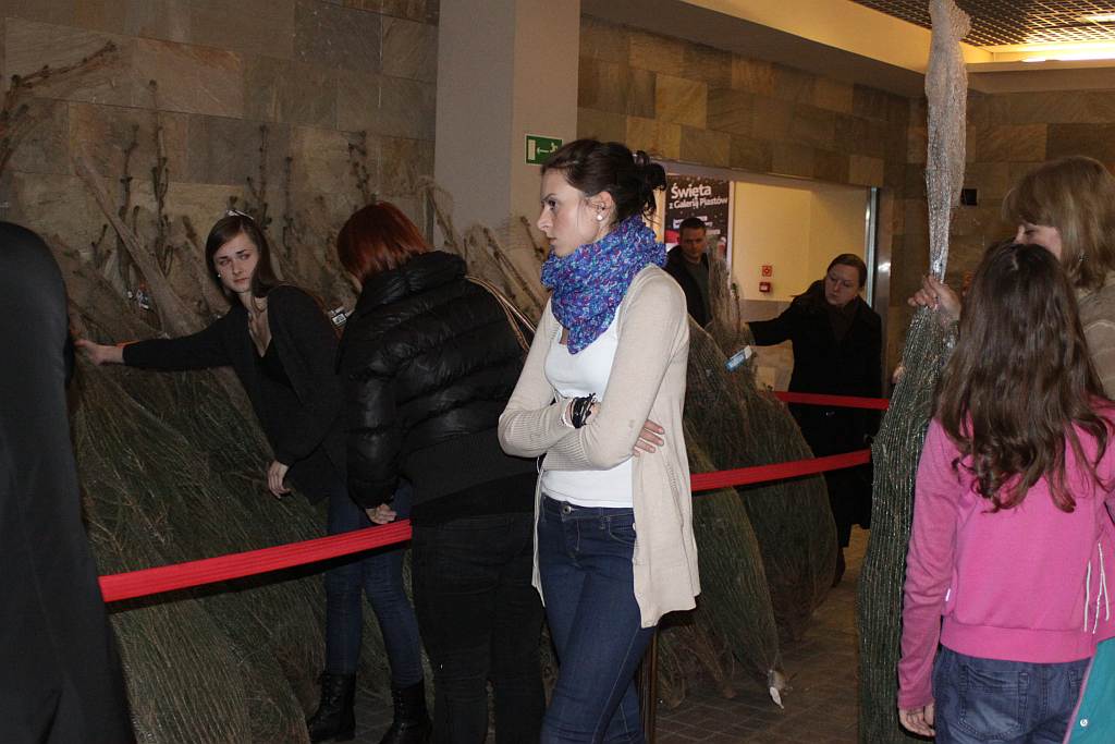Choinka pod choinkę w Galerii Piastów