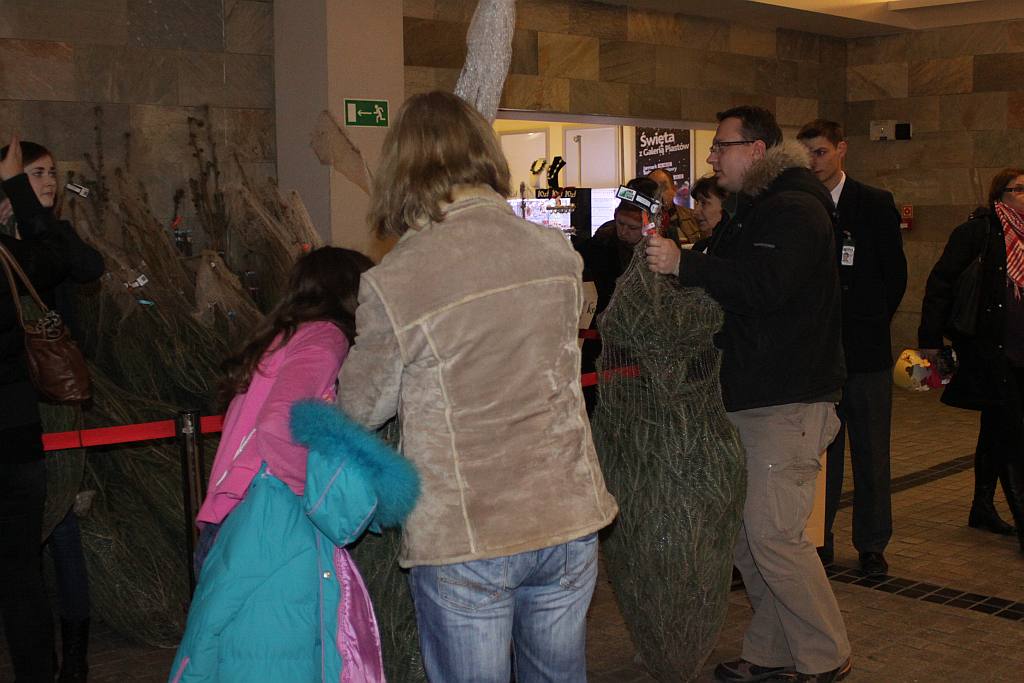 Choinka pod choinkę w Galerii Piastów