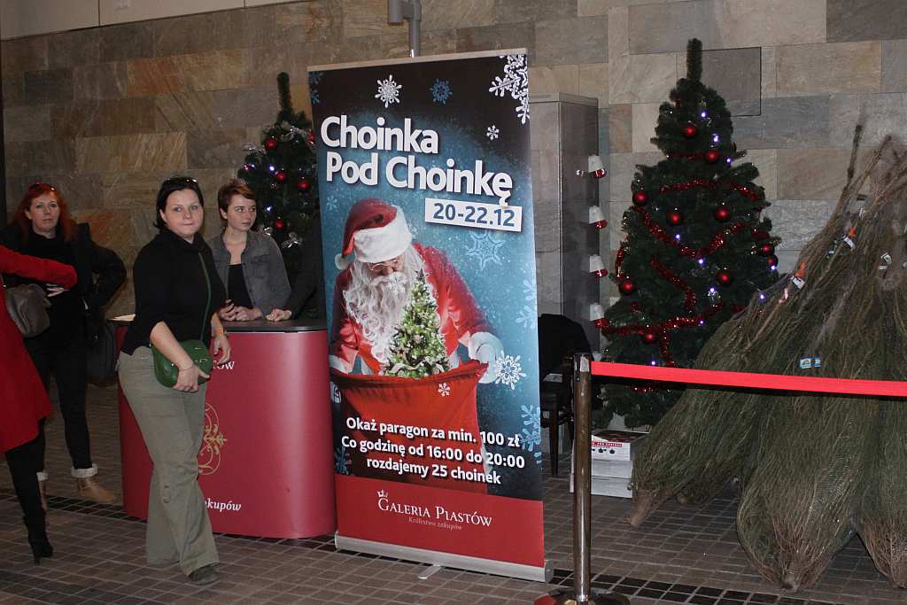 Choinka pod choinkę w Galerii Piastów